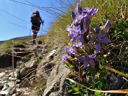 Anello Laghi di Porcile-Passo di Tartano, Cima-Passo di Lemma da Baita del Camoscio (4 sett.2020)- FOTOGALLERY